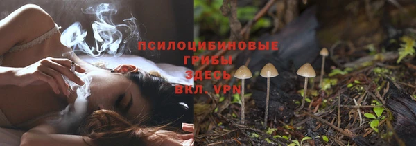 бошки Няндома