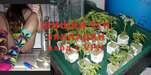 бошки Няндома