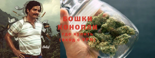 бошки Няндома