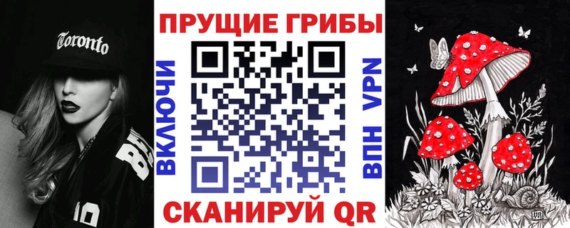 Галлюциногенные грибы прущие грибы купить наркотики цена Алзамай